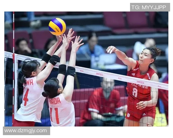 北京排球队战术引发热议球迷与专家观点交锋分析